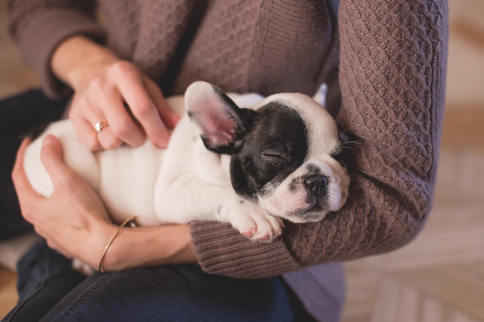 Puppy Yoga Background